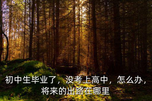 初中生畢業了，沒考上高中，怎么辦，將來的出路在哪里