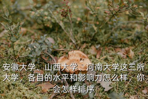 安徽大學(xué)、山西大學(xué)、河南大學(xué)這三所大學(xué)，各自的水平和影響力怎么樣，你會(huì)怎樣排序