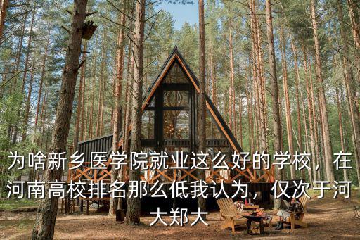 新鄉(xiāng)學(xué)院在河南排多少位,新鄉(xiāng)學(xué)院怎么樣