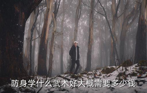 防身學(xué)什么武術(shù)好大概需要多少錢
