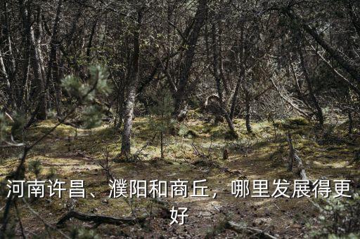 河南許昌、濮陽和商丘，哪里發(fā)展得更好
