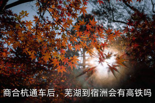 商合杭通車(chē)后，蕪湖到宿洲會(huì)有高鐵嗎