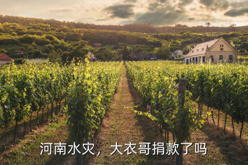 河南水災(zāi)，大衣哥捐款了嗎