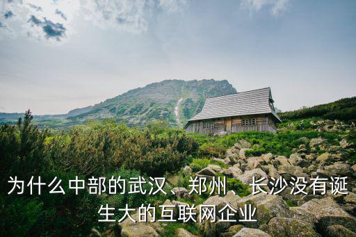 為什么中部的武漢、鄭州、長沙沒有誕生大的互聯網企業