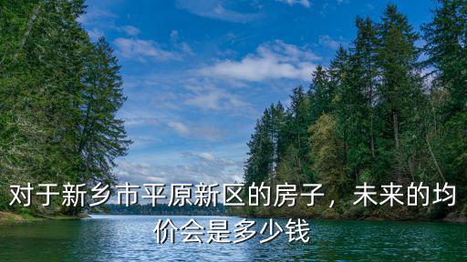 對于新鄉市平原新區的房子，未來的均價會是多少錢