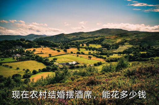 現在農村結婚擺酒席，能花多少錢