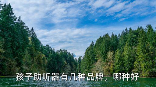 孩子助聽器有幾種品牌，哪種好