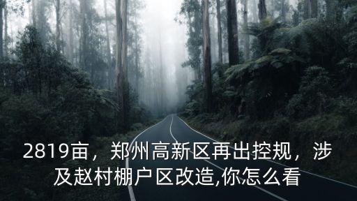 鄭州高新區趙村小學怎么樣,鄭州高新區再出控規
