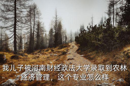 河南財經(jīng)政法大學管理專業(yè)怎么樣,河南財經(jīng)政法大學怎么樣