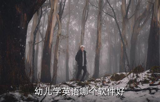 幼兒學(xué)英語哪個(gè)軟件好