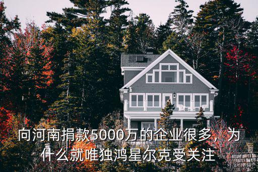 向河南捐款5000萬的企業很多，為什么就唯獨鴻星爾克受關注