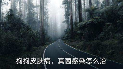 狗狗皮膚病，真菌感染怎么治