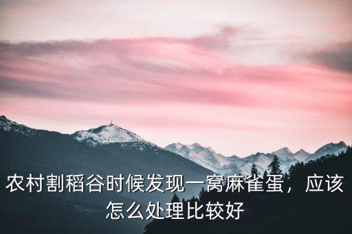 農(nóng)村割稻谷時(shí)候發(fā)現(xiàn)一窩麻雀蛋，應(yīng)該怎么處理比較好