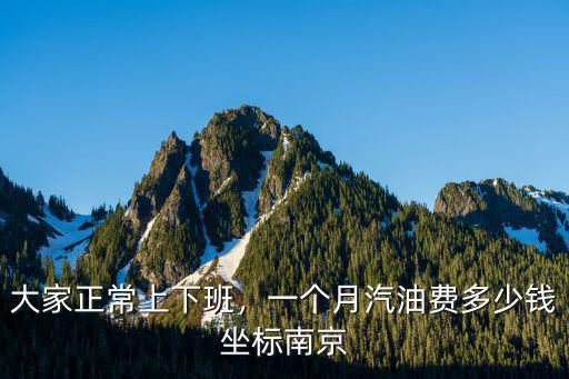 大家正常上下班，一個月汽油費多少錢坐標南京