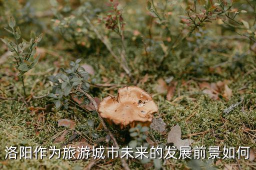 洛陽(yáng)作為旅游城市未來(lái)的發(fā)展前景如何