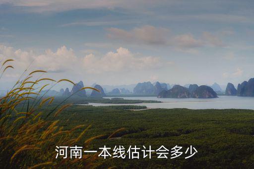 河南一本線估計會多少