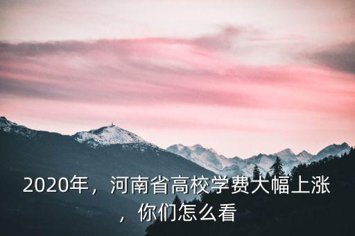 2020年，河南省高校學費大幅上漲，你們怎么看