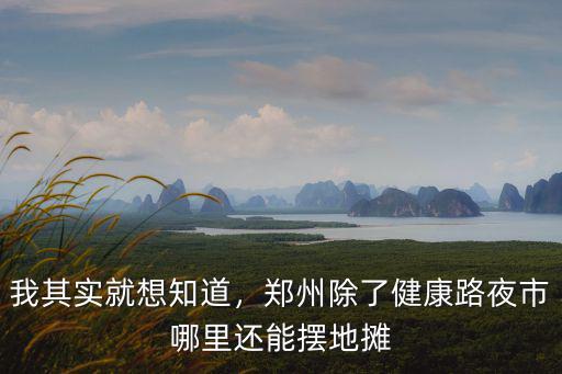 我其實就想知道，鄭州除了健康路夜市哪里還能擺地攤