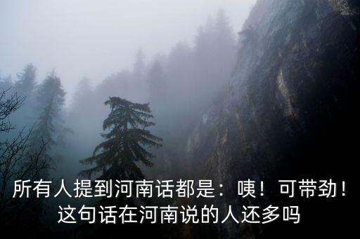 所有人提到河南話都是：咦！可帶勁！這句話在河南說的人還多嗎