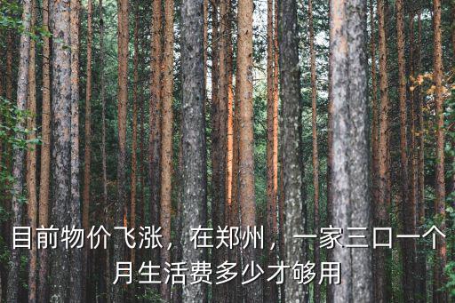 目前物價飛漲，在鄭州，一家三口一個月生活費多少才夠用