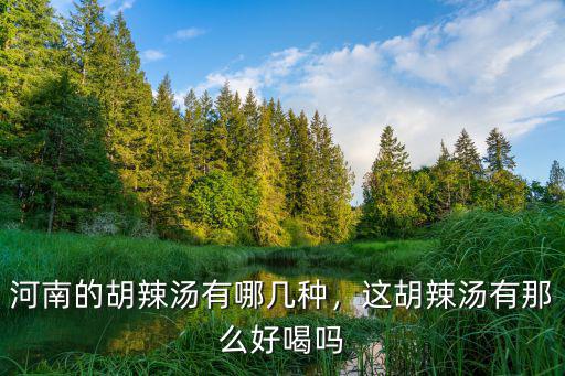 河南的胡辣湯有哪幾種，這胡辣湯有那么好喝嗎