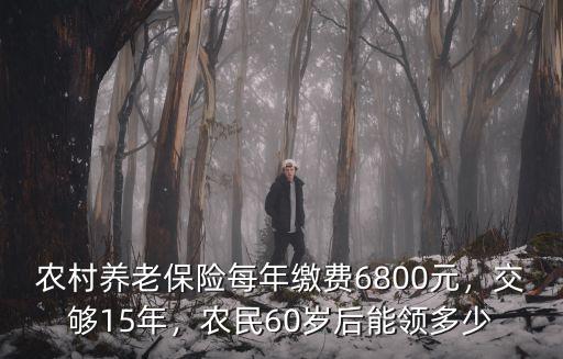 農(nóng)村養(yǎng)老保險每年繳費6800元，交夠15年，農(nóng)民60歲后能領(lǐng)多少