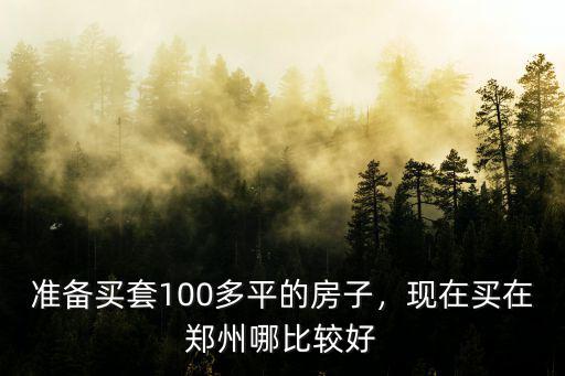 準備買套100多平的房子，現(xiàn)在買在鄭州哪比較好