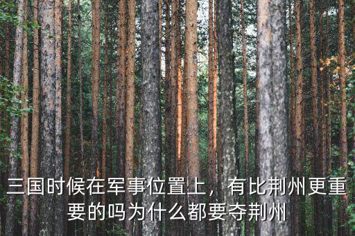 三國(guó)時(shí)候在軍事位置上，有比荊州更重要的嗎為什么都要奪荊州