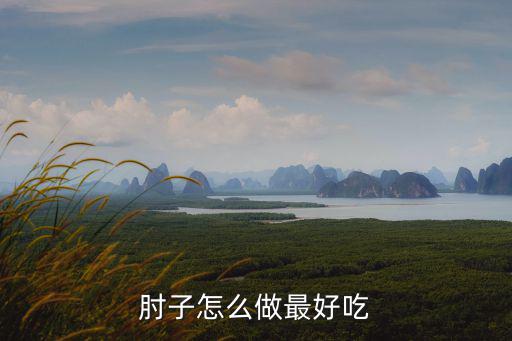 肘子怎么做最好吃