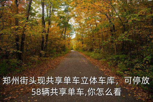 鄭州街頭現共享單車立體車庫，可停放58輛共享單車,你怎么看