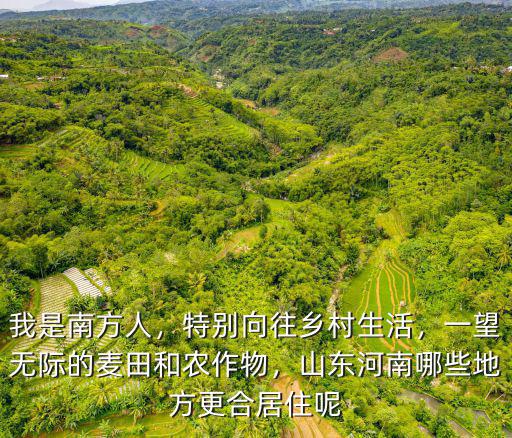 我是南方人，特別向往鄉(xiāng)村生活，一望無際的麥田和農(nóng)作物，山東河南哪些地方更合居住呢