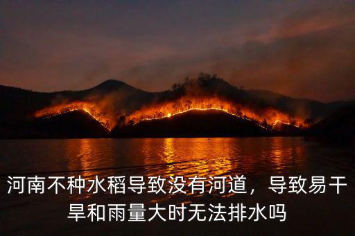河南不種水稻導致沒有河道，導致易干旱和雨量大時無法排水嗎