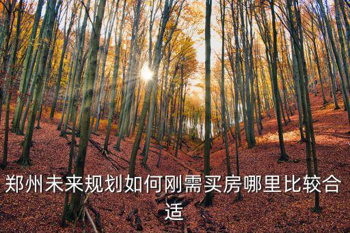鄭州未來規劃如何剛需買房哪里比較合適