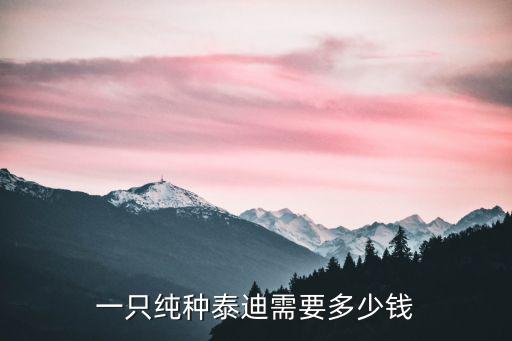 一只純種泰迪需要多少錢