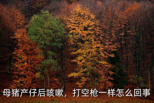 母豬產仔后咳嗽，打空槍一樣怎么回事