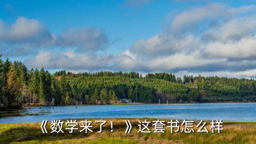 《數(shù)學(xué)來了！》這套書怎么樣