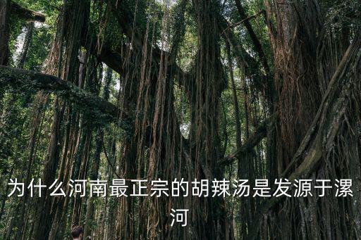 為什么河南最正宗的胡辣湯是發源于漯河