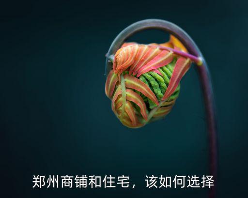 鄭州商鋪和住宅，該如何選擇