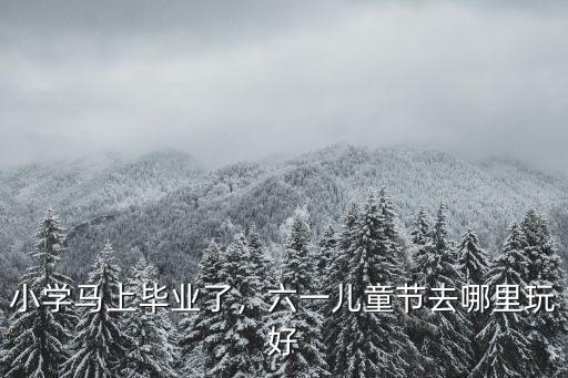 小學馬上畢業了，六一兒童節去哪里玩好