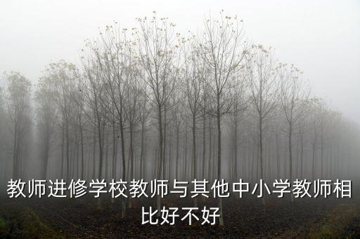 教師進修學校教師與其他中小學教師相比好不好