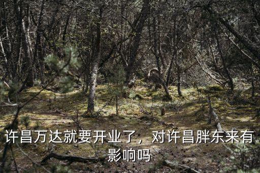 許昌萬達就要開業了，對許昌胖東來有影響嗎