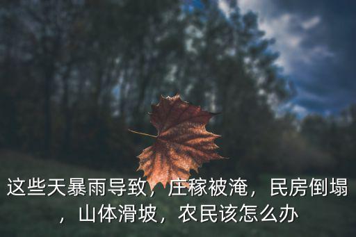 這些天暴雨導致，莊稼被淹，民房倒塌，山體滑坡，農民該怎么辦