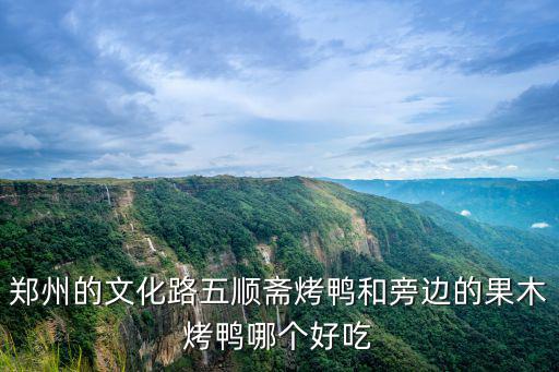 鄭州的文化路五順齋烤鴨和旁邊的果木烤鴨哪個好吃