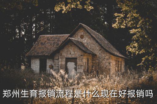 鄭州生育報銷流程是什么現在好報銷嗎