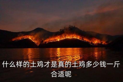 河南光山土雞多少錢一斤,多少錢一斤合適呢