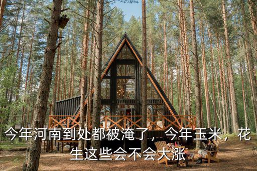 今年河南到處都被淹了，今年玉米，花生這些會(huì)不會(huì)大漲