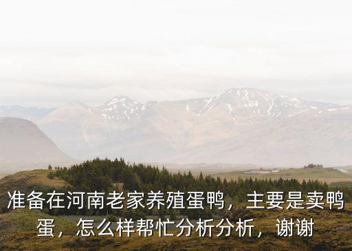 準備在河南老家養殖蛋鴨，主要是賣鴨蛋，怎么樣幫忙分析分析，謝謝