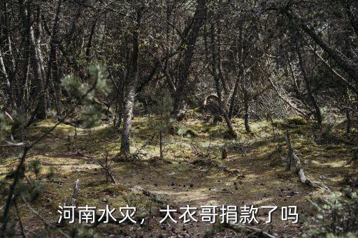 旺旺集團(tuán)河南水災(zāi)捐了多少,河南水災(zāi)少林寺捐款了嗎