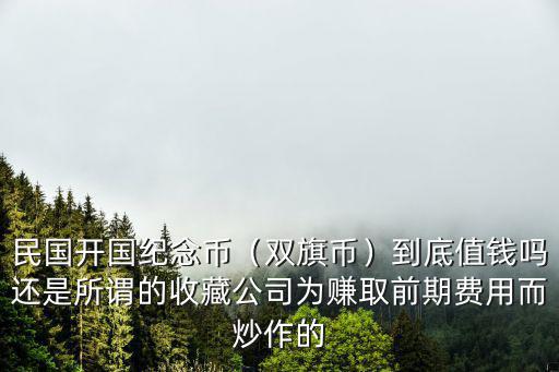 民國(guó)開(kāi)國(guó)紀(jì)念幣（雙旗幣）到底值錢(qián)嗎還是所謂的收藏公司為賺取前期費(fèi)用而炒作的