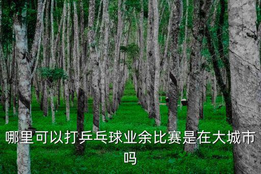 哪里可以打乒乓球業(yè)余比賽是在大城市嗎